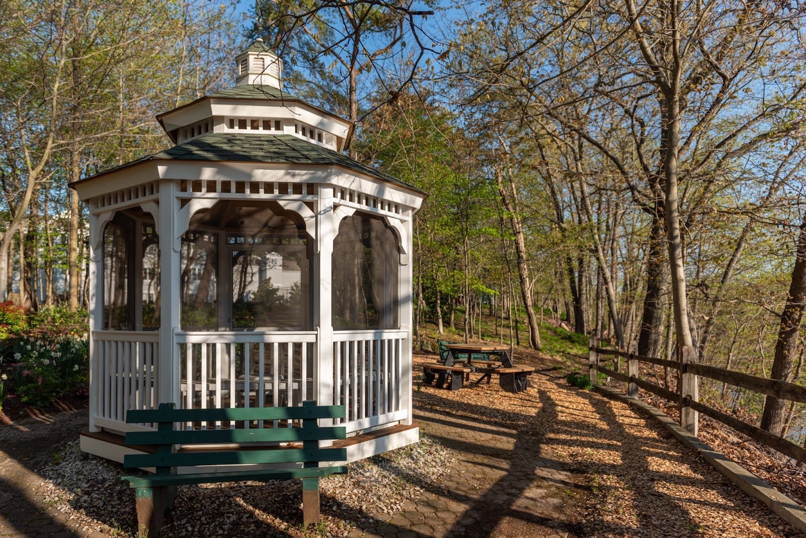 Pergola in a shaded park
