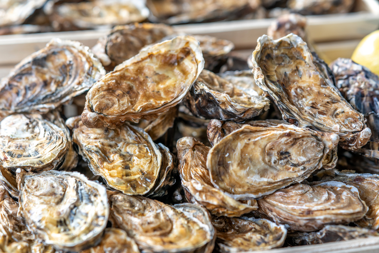 Oysters on sale at market stall Oysters