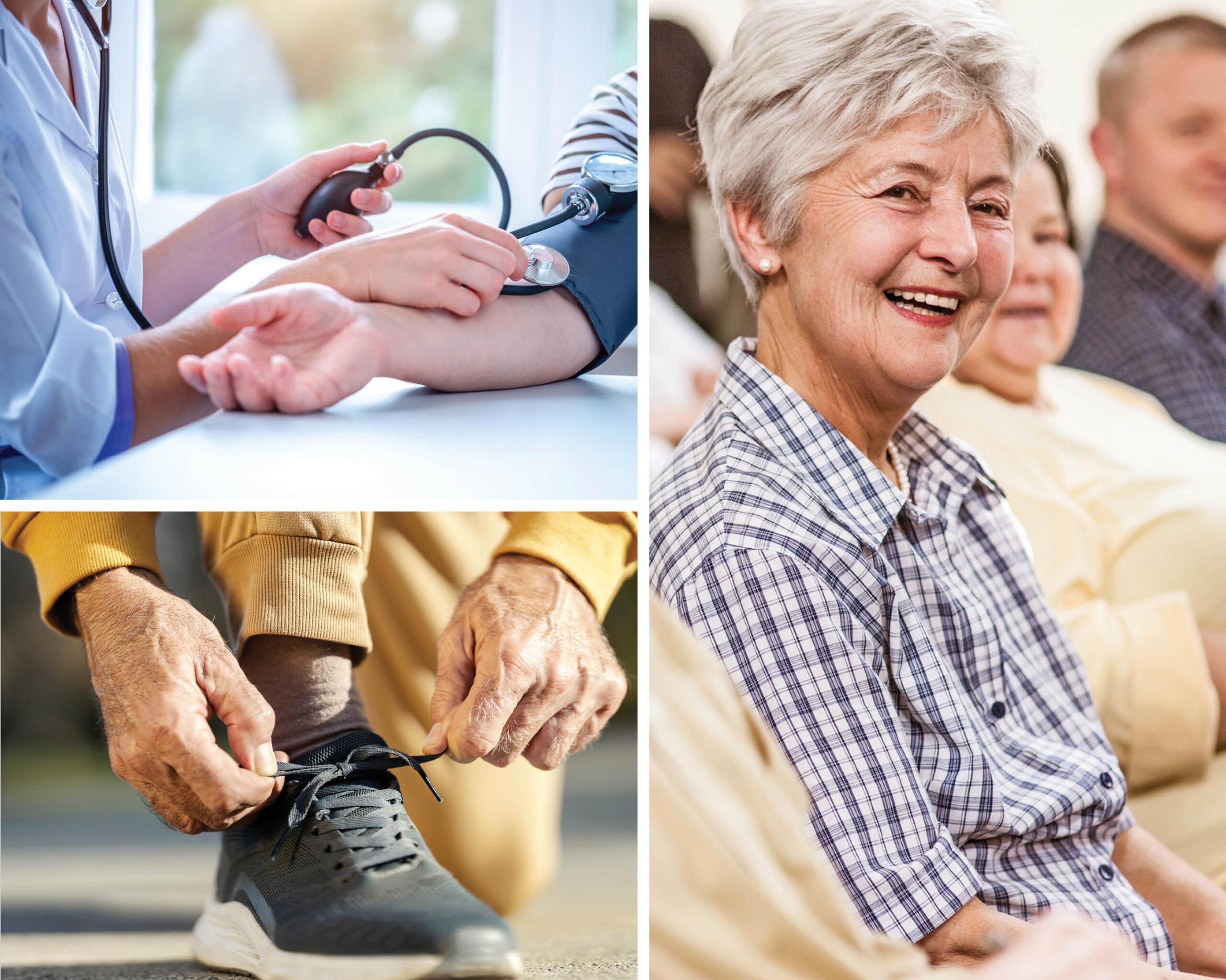 Ginger Cove Senior Health Expo Ginger Cove Senior Health Expo