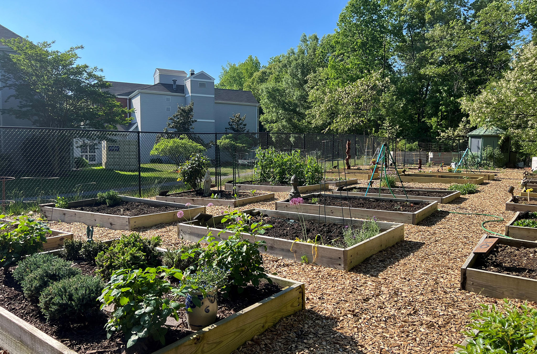 Ginger Cove resident garden beds