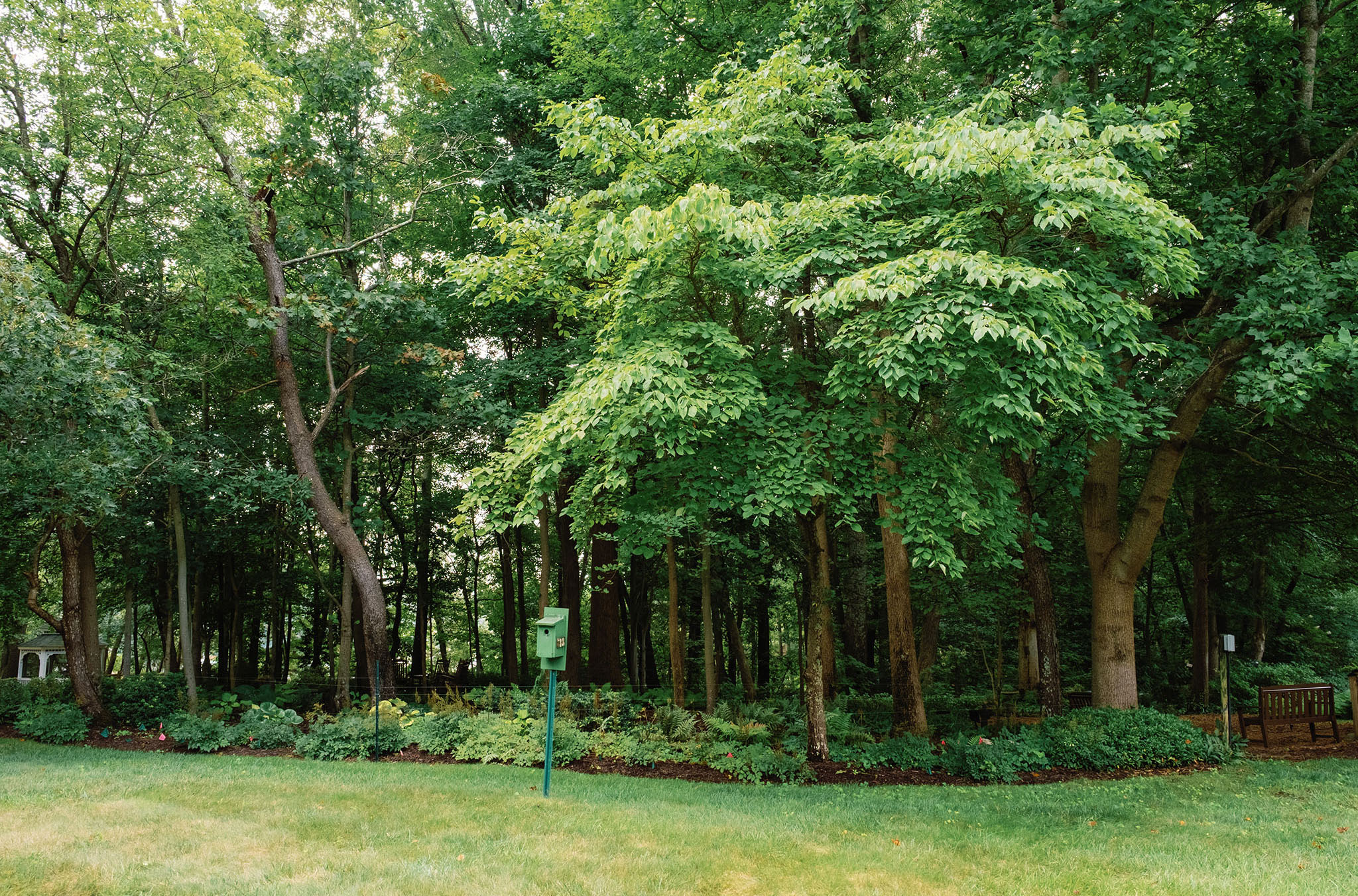 Ginger Cove wooded area and birdfeeder