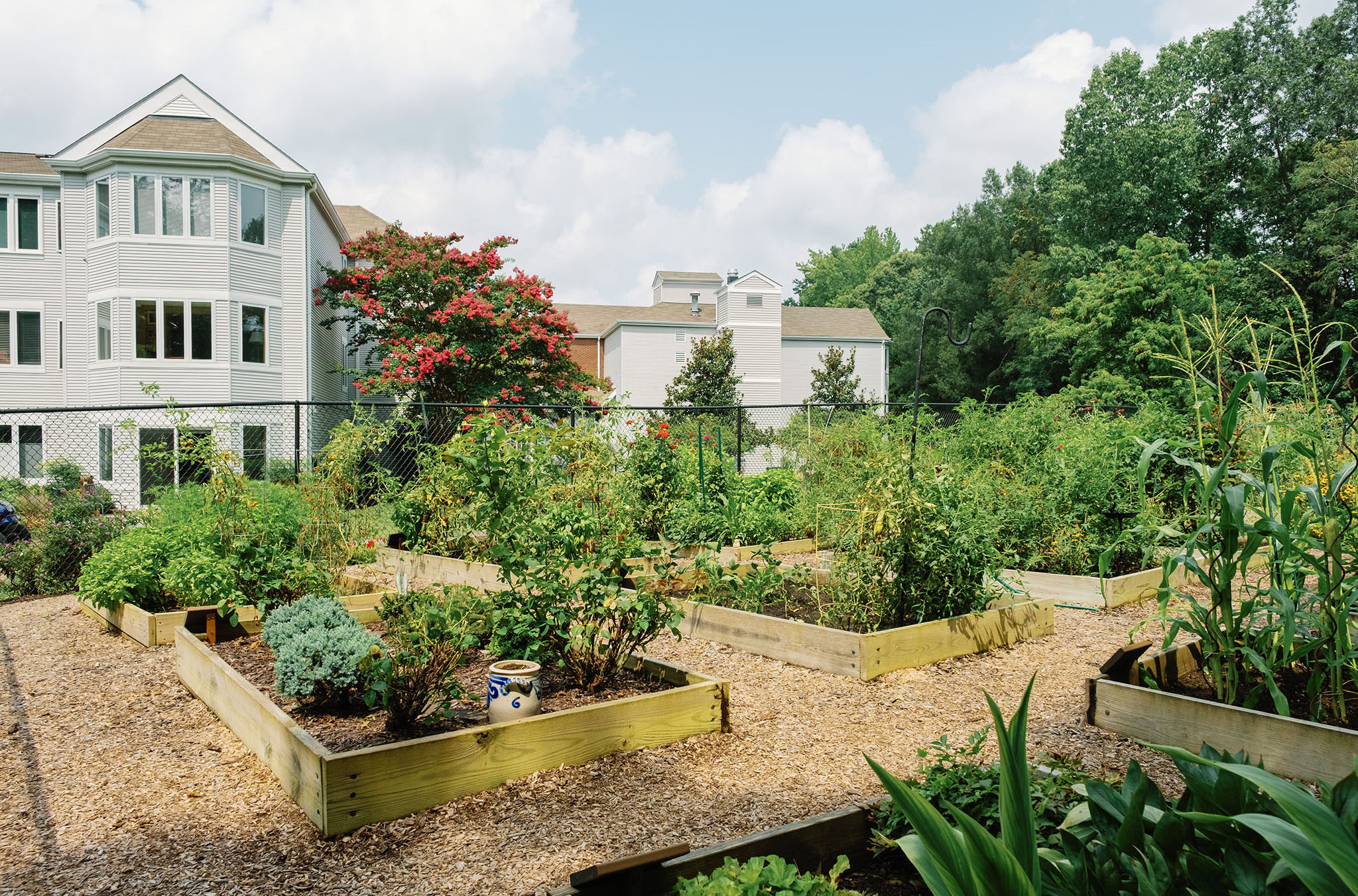 Ginger Cove garden beds