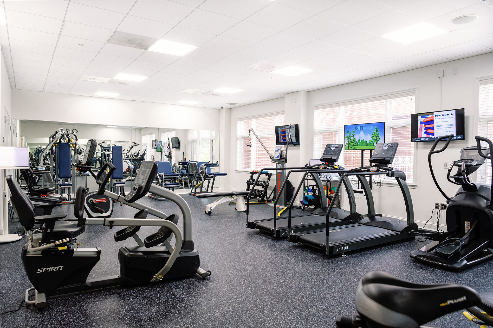 Ginger Cove exercise area with various exercise machines
