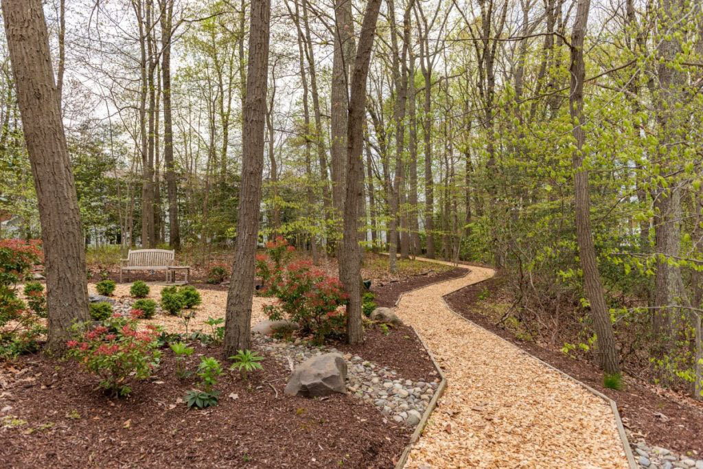 Ginger Cove walking path through woods