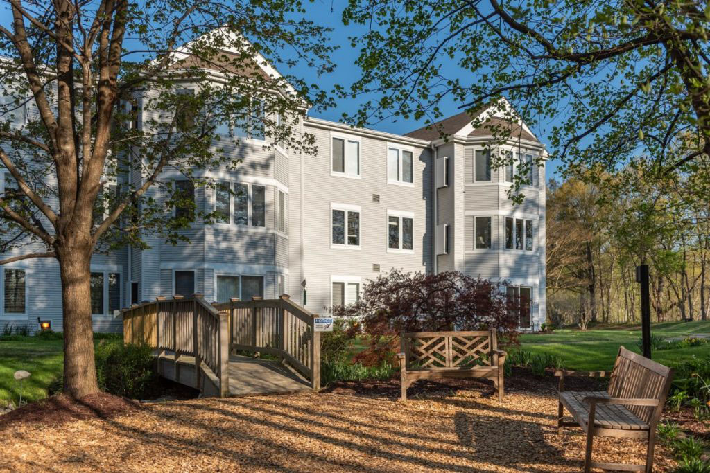 Ginger Cove building shot through trees