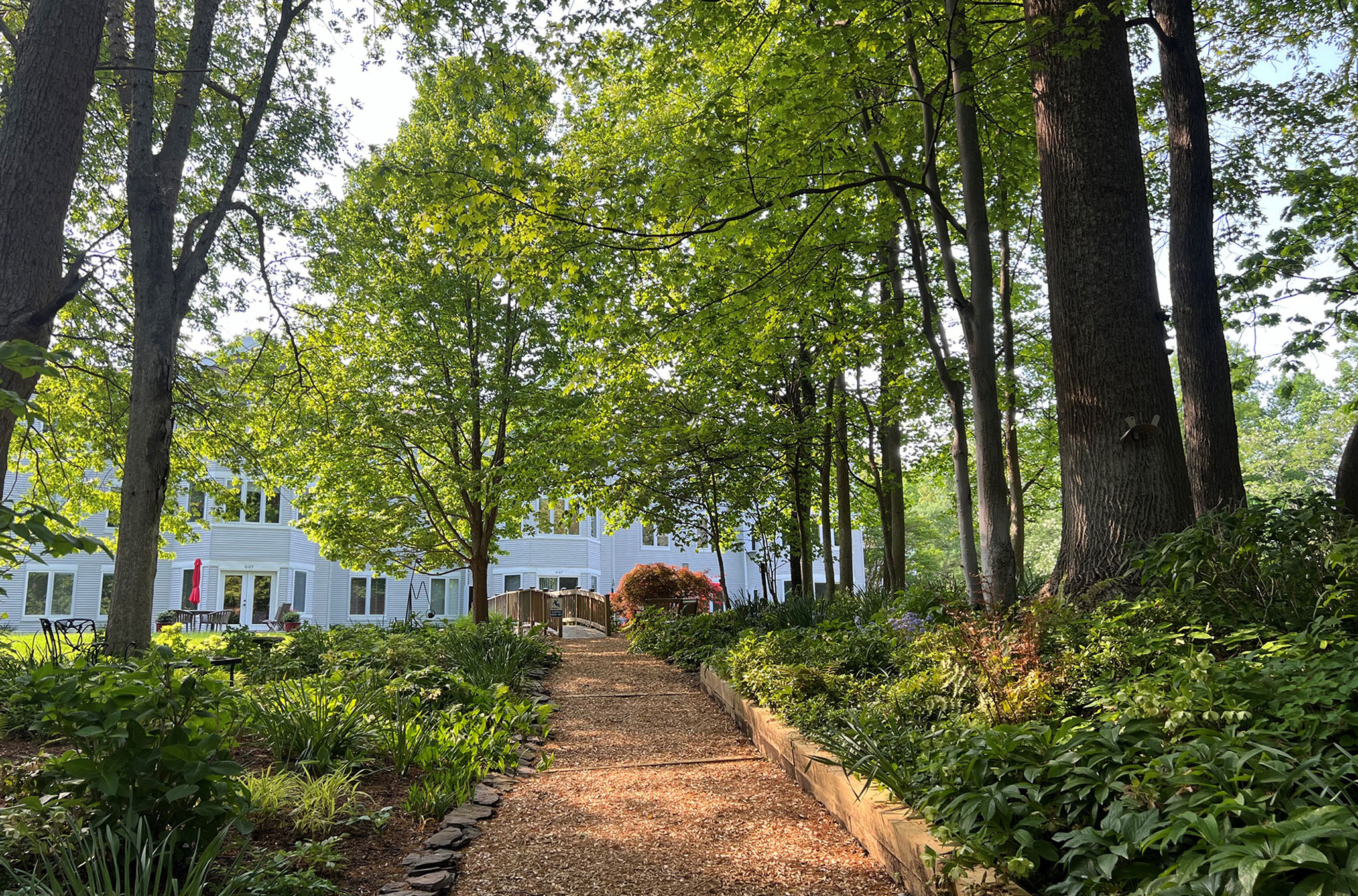 Ginger Cove building shot through trees