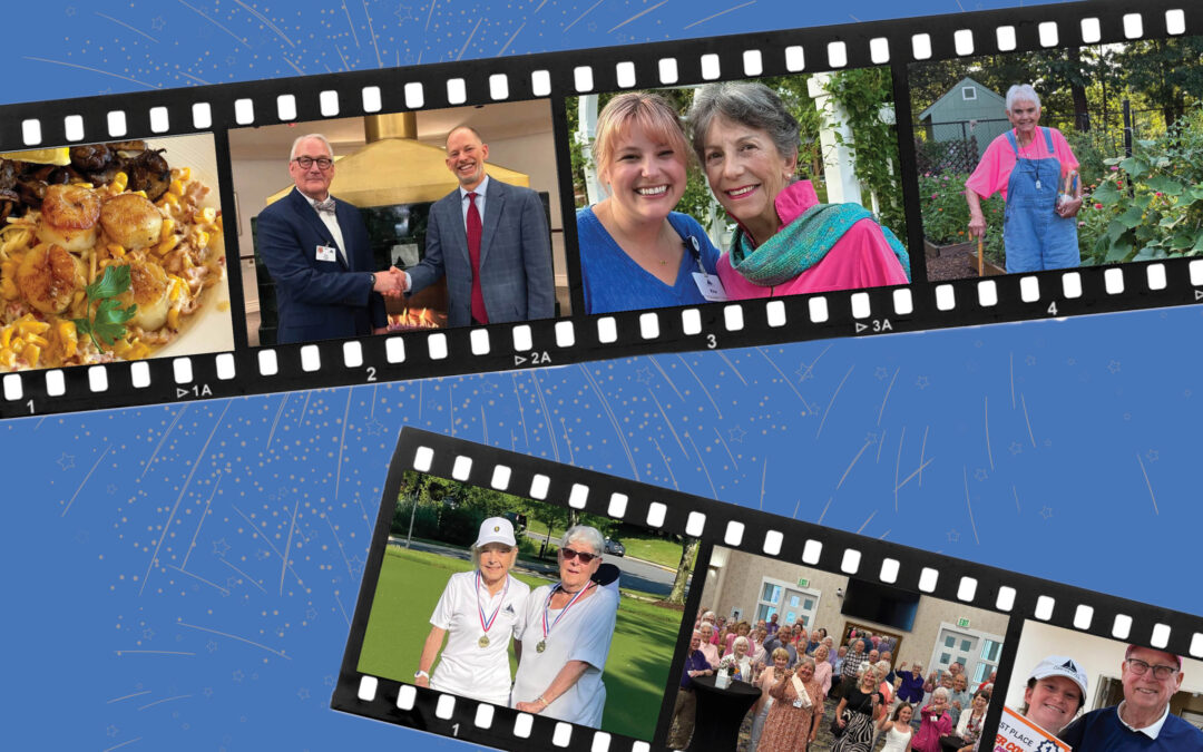 Ginger Cove: A Year in Review : 2025